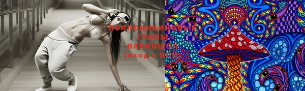 дурь Волосово