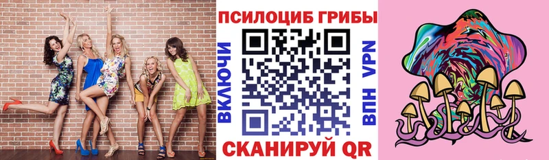 закладка  Истра  hydra ссылка  Псилоцибиновые грибы Magic Shrooms 